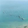  - Photo réf. 41363 - Sur le littoral d'Arromanches-les-Bains ces caissons Phoenix, au nombre de 146, taient destins  la formation des jetes-abris devant les ports Mulberries A et B.
