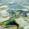 Photos aériennes de "salants" - Photo réf. 61172 - Les marais salants de Gurande (Loire-Atlantique).