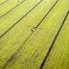 Photos aériennes de "sillon" - Photo réf. 62468 - Le tracteur passe  travers champ pour traiter les cultures.
