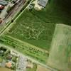 Photos aériennes de "labyrinthe" - Photo réf. 62838 - Un champ de mas transform en labyrinthe.