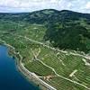 Photos aériennes de "culture" - Photo réf. N046205 - Le vignoble Suisse au bord du lac Lman,  Puidoux.