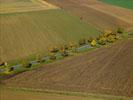 Photos aériennes de "automne" - Photo réf. T084416 - Une Route Borde d'Arbres aux Couleurs d'Automne