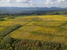 Photos aériennes de "Paysage" - Photo réf. T084577 - Une vue paysagre des vignes alsacienne ayant revtues leurs couleurs d'automne