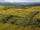 Photos aériennes de "Paysage" - Photo réf. T084578 - Une vue paysagre des vignes alsacienne ayant revtues leurs couleurs d'automne