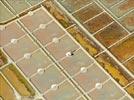 Photos aériennes de "salants" - Photo réf. E131755 - Un paludier dans les marais salants de Gurande