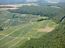 Photos aériennes de "Champagne" - Photo réf. E146431 - Vignoble de Champagne dans le Parc Naturel Rgional de la Montagne de Reims