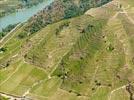 Photos aériennes de "culture" - Photo réf. E153399 - Culture de la vigne en terrasses
