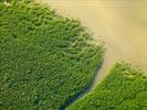 Photos aériennes de Iracoubo (97350) | Guyane, Guyane, France - Photo réf. U154416 - Le littoral Guyanais et sa mangrove