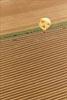 Photos aériennes de "montgolfiere" - Photo réf. C157927 - Lorraine Mondial Air Ballons 2015 : Vol du Dimanche 26 Juillet le matin lors du Record Mondial de Dcollage en Ligne. (The Great Line, In-line Mass Ascent)